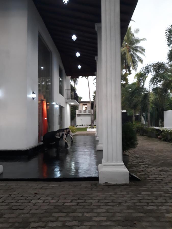 The Kingston Hotel Kiribathgoda Esterno foto